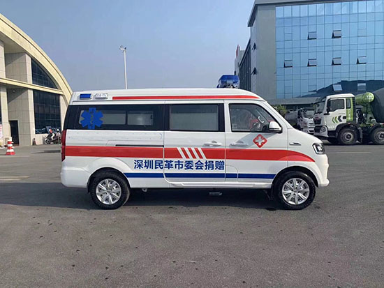 國六金杯海獅救護車